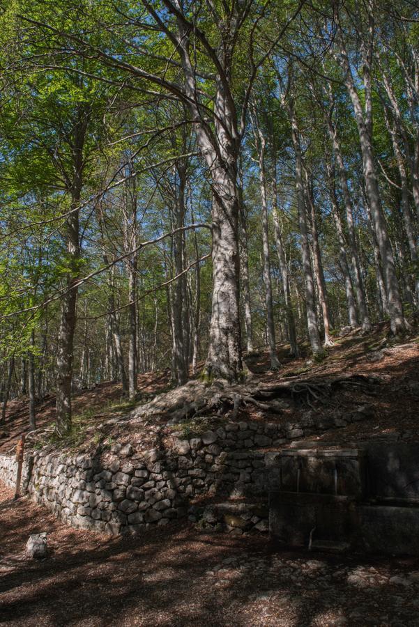 Albergo Parco Della Maiella Sant'Eufemia a Maiella Luaran gambar
